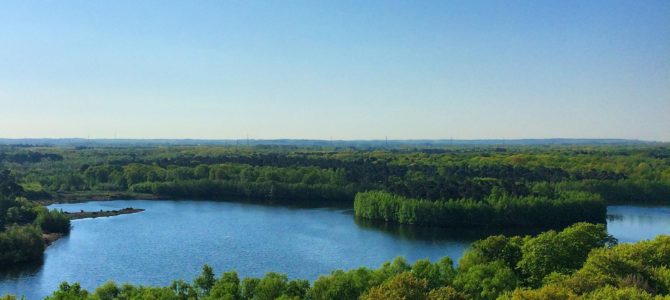 Ein Naturparadies im Ruhrgebiet – Die Sechs Seen Platte in Duisburg