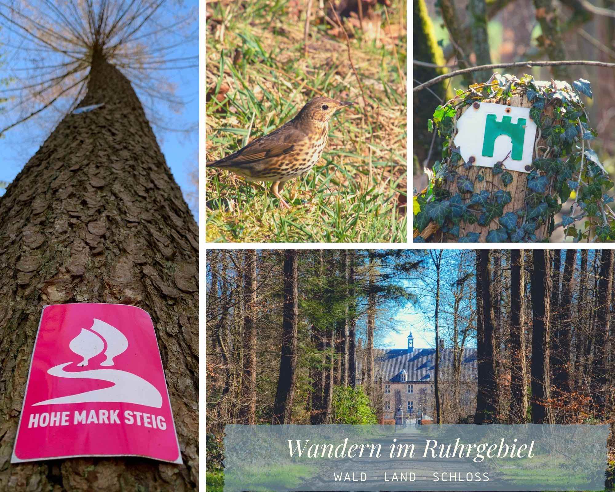 Wandern im Ruhrgebiet –  Unterwegs im Naturpark Hohe Mark mit Blick auf Schloss Lembeck