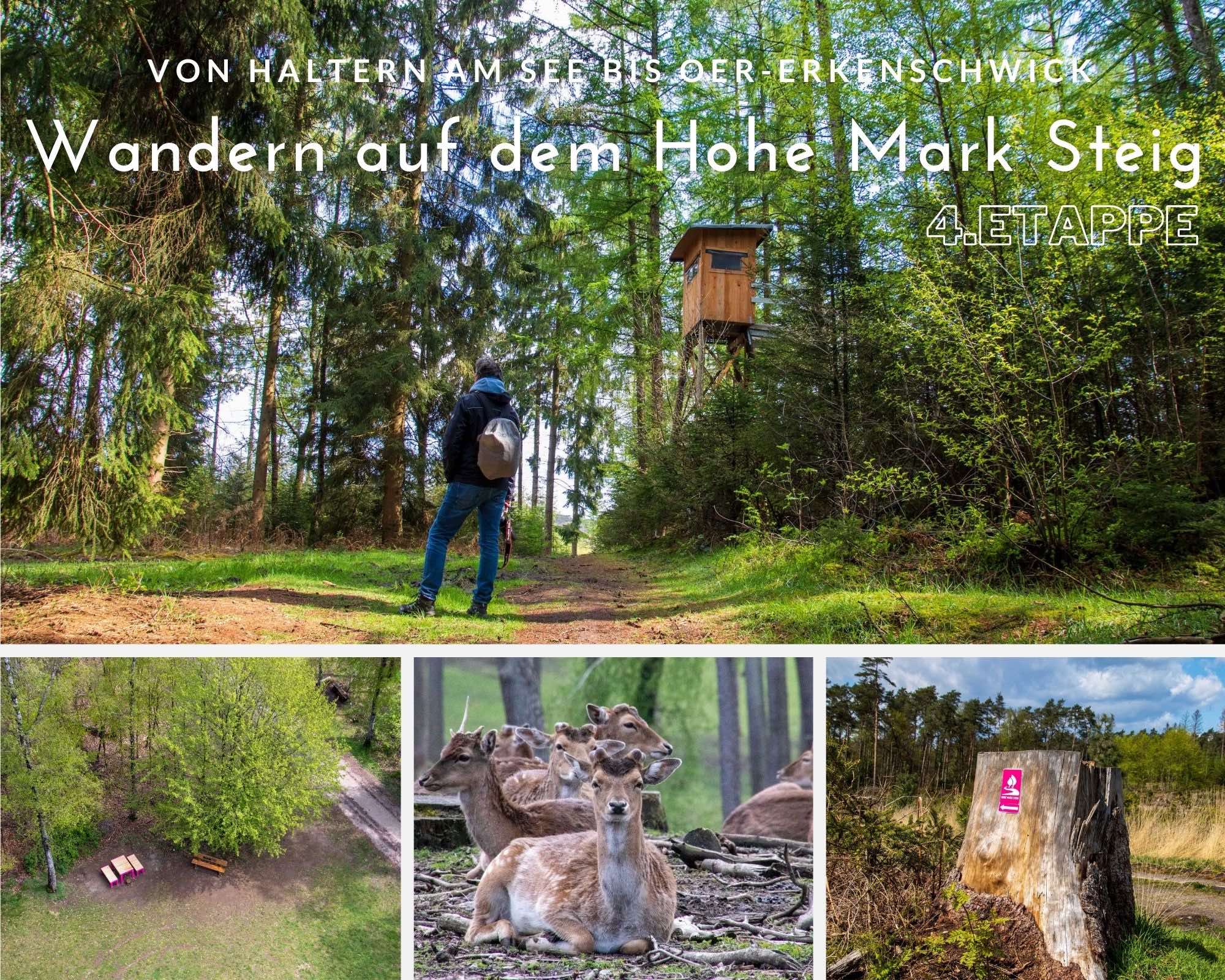 Wandern auf dem Hohe Mark Steig – 4.Etappe – Von Lembeck nach Haltern am See