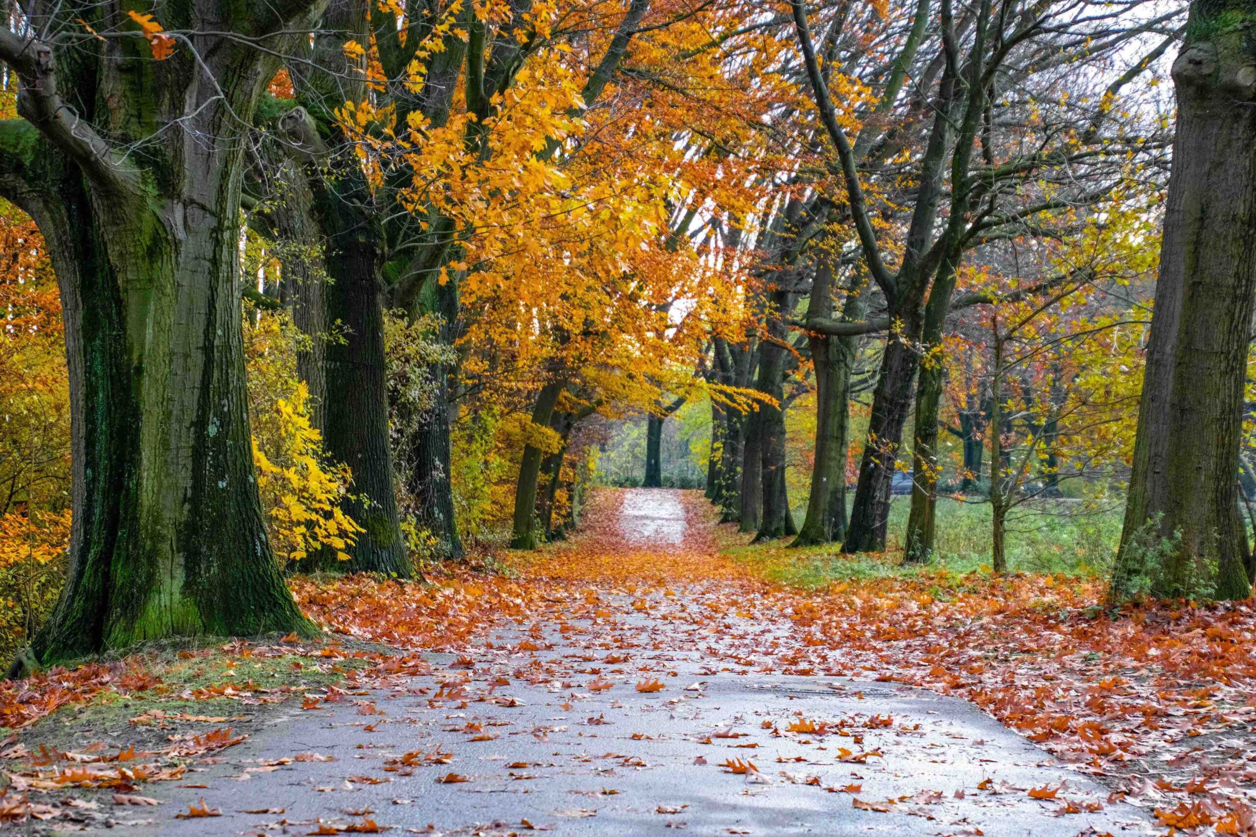 10 Tipps für schöne Herbstspaziergänge im Ruhrgebiet