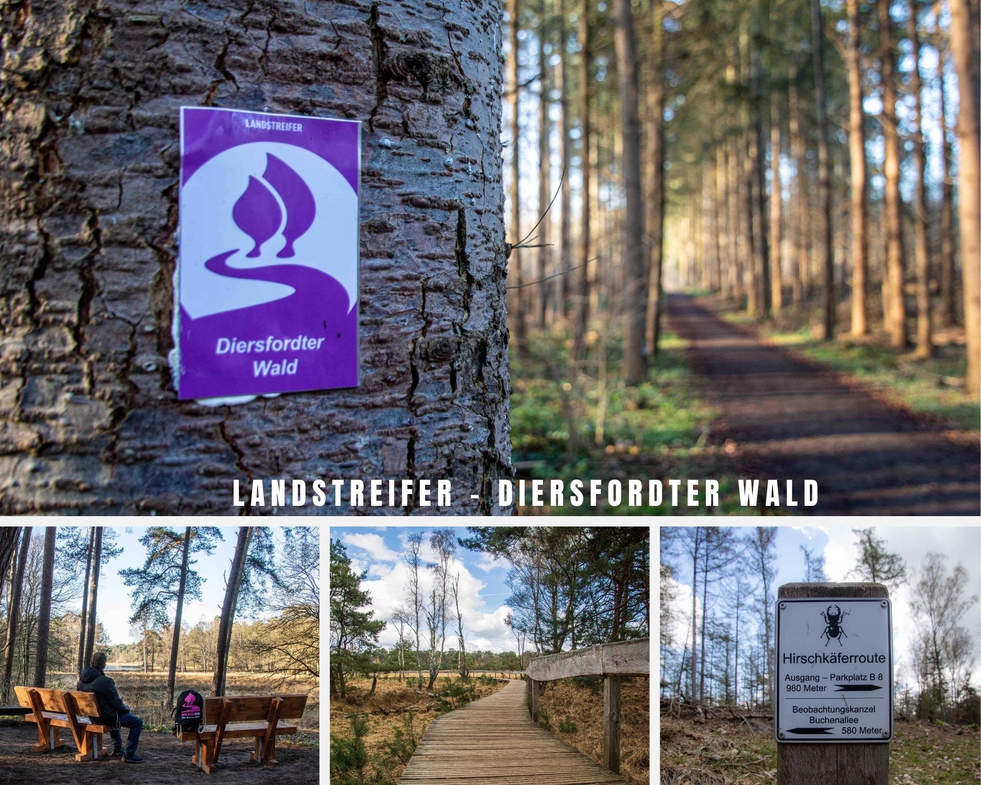 Wandern am Rande des Ruhrgebiets – Landstreifer Diersfordter Wald