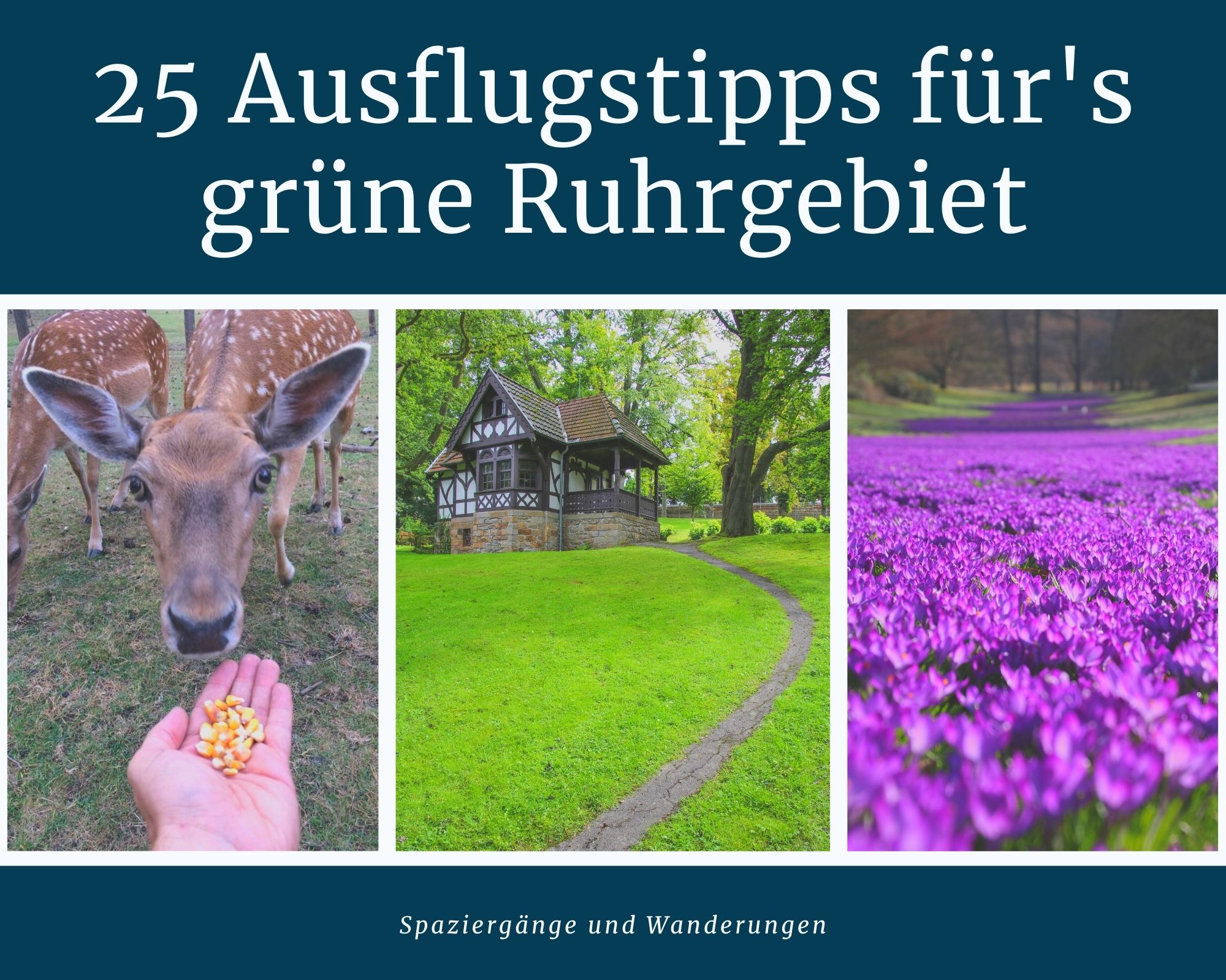 25 Ausflugstipps für das grüne Ruhrgebiet