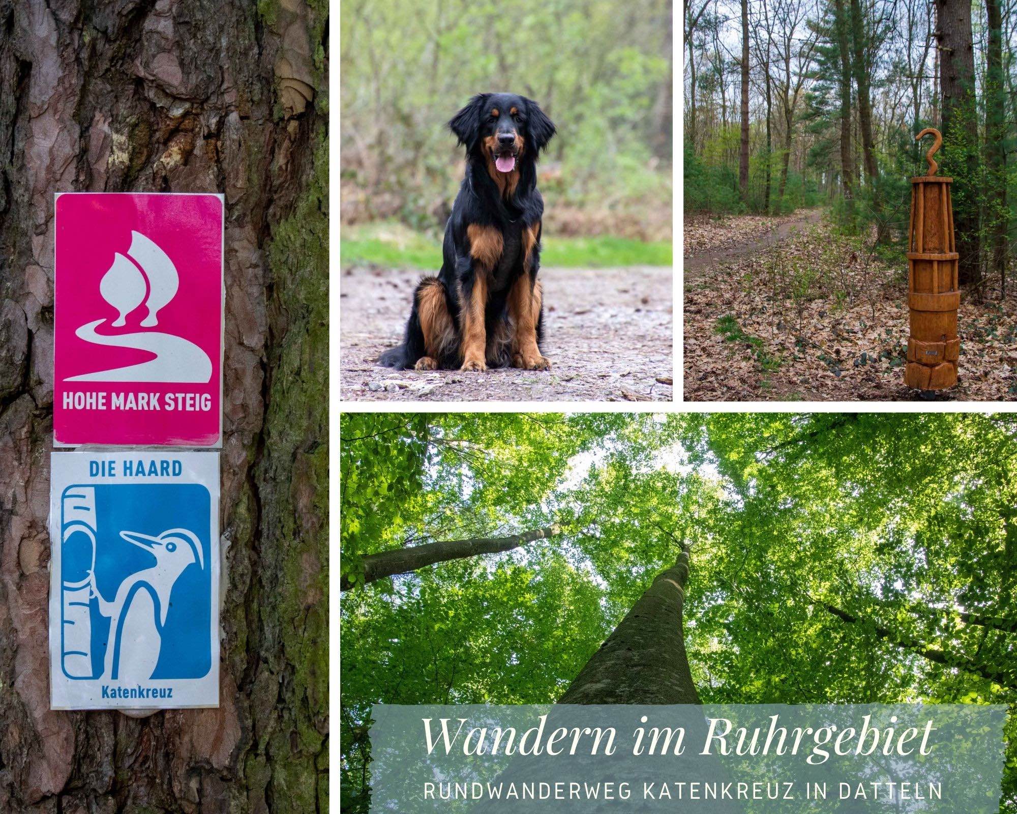 Wandern im Ruhrgebiet – Rundwanderweg Katenkreuz in Datteln