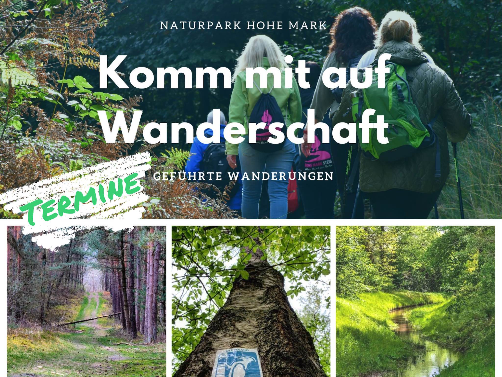 Komm mit auf Wanderschaft – Geführte Wanderungen durch den Naturpark Hohe Mark.