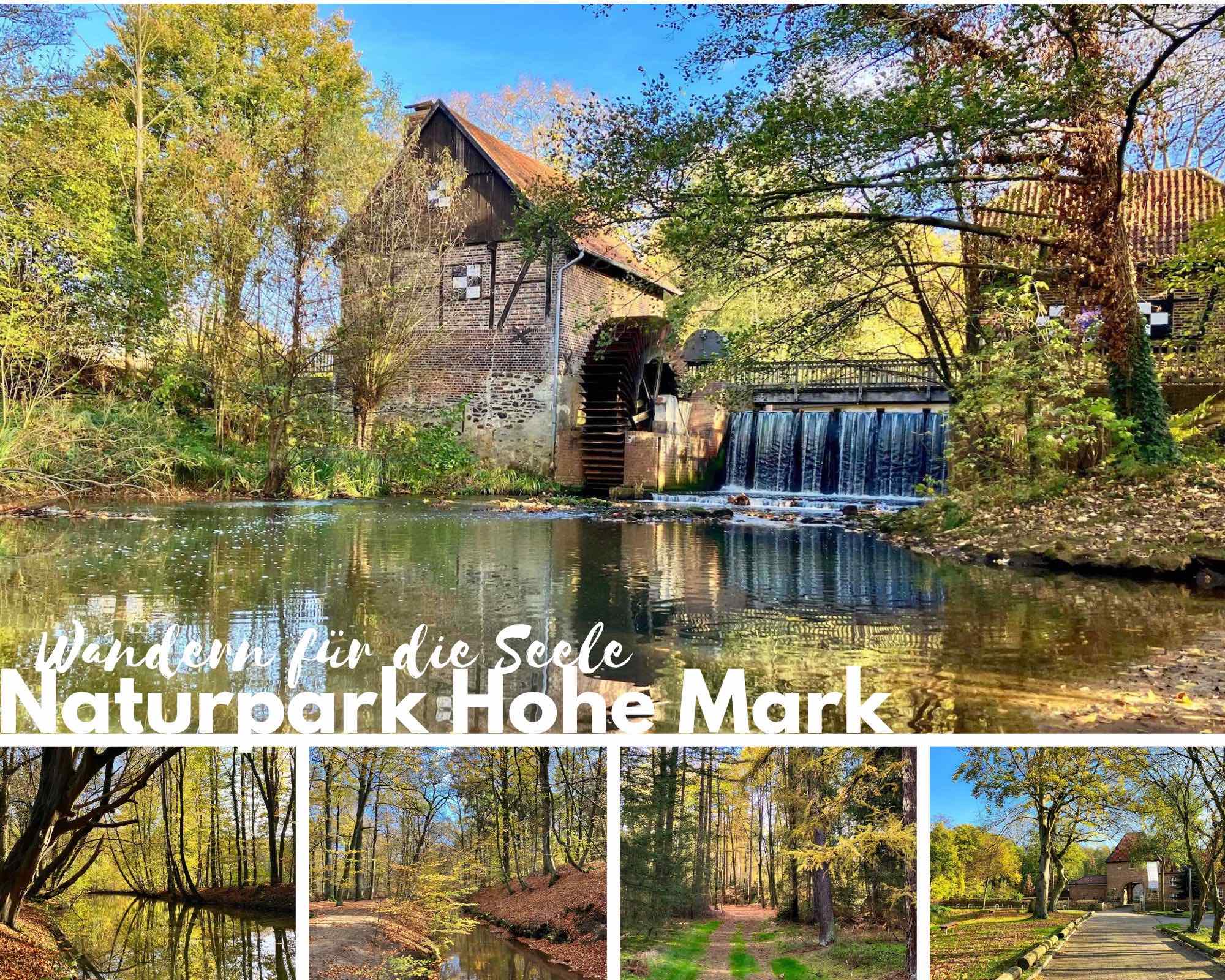 Unterwegs im Naturpark Hohe Mark – Wandern zwischen Münsterland und Ruhrgebiet
