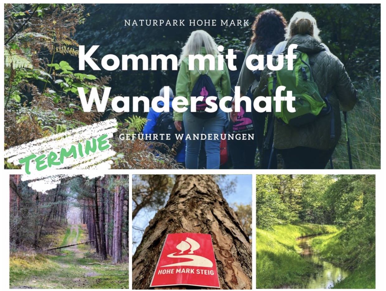 Geführte Wanderungen auf dem Hohe Mark Steig