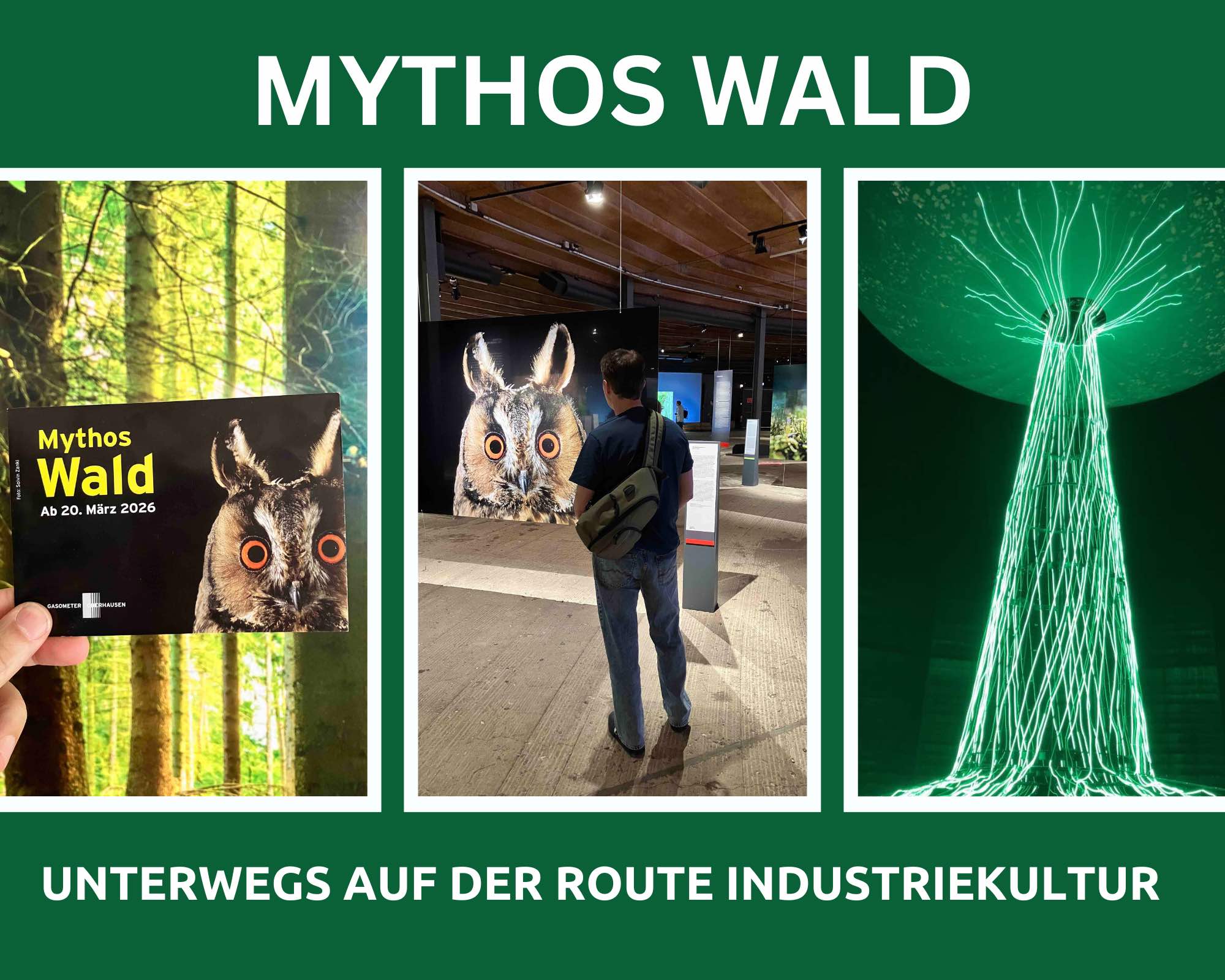 Mythos Wald im Gasometer Oberhausen: Wenn Industriekultur Wurzeln schlägt